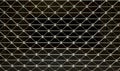 Iron protection net Royalty Free Stock Photo