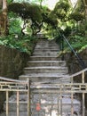 Concrete stairs lead into garden in neighborhood near SW Fairview Boulevard, Portland, Oregon