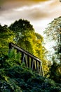 Iron railroad bridge with cloudy sky and trees