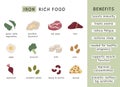 Iron rich food sources and benefits. Infographic poster for nutritionist. Dietetic organic nutrition. Healthy products