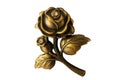 Iron rose Royalty Free Stock Photo