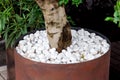 Iron round flowerpot for decorative wood.