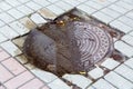 Iron round manhole cover in a puddle of water. Royalty Free Stock Photo