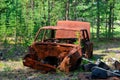 Iron rusty body of the Soviet car lies among the debris in the shade in a young spruce forest. Royalty Free Stock Photo