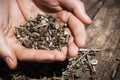 Iron rusty tools bolts and screws in his hands on an old wooden close-up selective focus Royalty Free Stock Photo