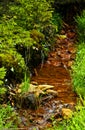 Iron saturated creek in a mining area