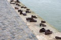 Iron shoes memorial to Jewish people executed WW2 in Budapest Hungary. Shoes on the Danube bank River Royalty Free Stock Photo
