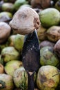 Iron spear for coconut peeling from coconut farmers in Damnoen Saduak