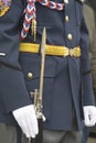 Iron spear on part of the parade uniform