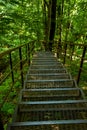An iron staircase leads down, its end is not visible, it hides in the trees. Iron steps lead down the mountain and go far, far