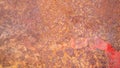 Iron surface rust