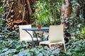 iron table and chairs in the garden, lush foliage trees Royalty Free Stock Photo