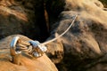 Iron twisted rope streched between rocks in climbers patch. Rope fixed in block by screws snap hooks. Detail of rope . Royalty Free Stock Photo