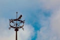 Iron Weather Vane