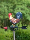 Iron weathercock in garden