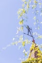 An iron weathervane with a knight holding a spear is located on a tower with red tiles against a blue sky. View through