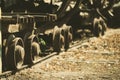 Iron wheels of an old train riding on the rails