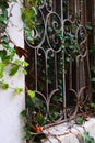 Iron Window with Vines Royalty Free Stock Photo