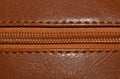 Iron zipper on brown textured leather