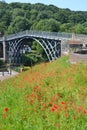 Ironbridge Poppies Royalty Free Stock Photo