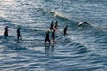 Ironman competitors enter ocean in Panama City Beach, Florida.