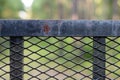 Weathered Black Iron Fence in the Forest