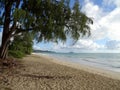 Ironwood Trees hang over Waimanalo Beach Royalty Free Stock Photo