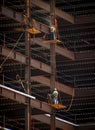 Ironworkers with safety lines working on the outside of steel framing Royalty Free Stock Photo