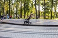 Irpin, Ukraine - August, 2019: strollers in the park. A city for children and mothers. Family park. Pravik`s park Royalty Free Stock Photo