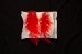 Irregular period concept. Menstrual cycle pad with red feathers on black background. Menorrhagia or heavy menstruation