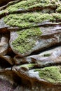 Irregular rock formation wall with grooves, furrows, different forms of erosion and moss