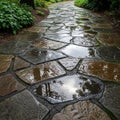 Irregular-shaped flagstones, featuring water puddles reflecting Royalty Free Stock Photo
