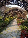 An irregular stone road with flowers on both sides