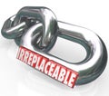 Irreplaceable 3d Word Chain Links Vital Essential Needs Royalty Free Stock Photo