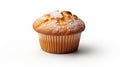 Irresistible Delight - Delectable Muffin Tempting Cupcake
