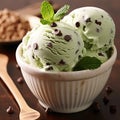 Irresistible Mint Chocolate Chip Ice Cream Delight in a Tempting Shot