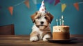 A playful puppy wearing a birthday hat with a cake in front of it