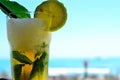 irresistibly fresh and punchy Mojito coctail Royalty Free Stock Photo