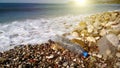 The irresponsible attitude of humanity towards nature: a beached empty plastic bottle on the background of beautiful nature Royalty Free Stock Photo