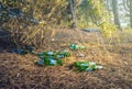 Irresponsible people leaving empty dirty beer bottles and a lot of garbage in the park after feast. Environmental pollution, Royalty Free Stock Photo