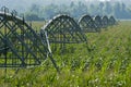 Irrigated Corn Field Royalty Free Stock Photo