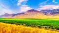 Irrigated farmlands along the Trans Canada Highway between Kamloops and Cache Creek