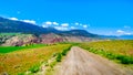 Irrigated fertile farmland along the Fraser River as it flows through the canyon to the town of Lillooet in the Chilcotin region Royalty Free Stock Photo