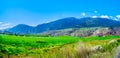 Irrigated fertile farmland along the Fraser River as it flows through the canyon to the town of Lillooet in the Chilcotin region Royalty Free Stock Photo