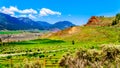 Irrigated fertile farmland along the Fraser River as it flows through the canyon to the town of Lillooet in the Chilcotin region Royalty Free Stock Photo