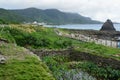 Irrigated taro Colocasia esculenta fields in Lanyu - Orchid island, Taiwan Royalty Free Stock Photo