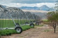 Irrigation system in the Mohave Valley, Arizona