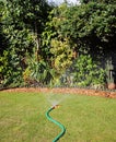 Irrigating a garden border with a Hosepipe Royalty Free Stock Photo