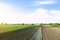 Irrigation of agricultural farm fields. Growing and food production of vegetables. Agronomic farming. Water resources. Royalty Free Stock Photo