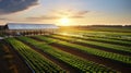 irrigation agriculture research Royalty Free Stock Photo